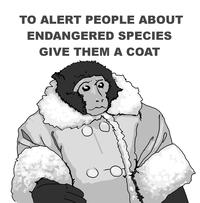 IKEA Monkey