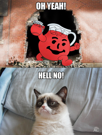Grumpy Cat