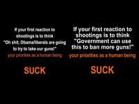 Sandy Hook Elementary School Shooting