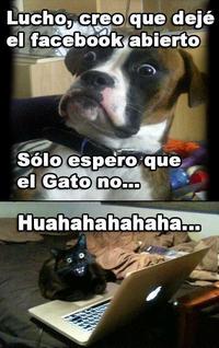 Oye Lucho, El perro del lucho