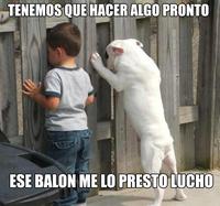 Oye Lucho, El perro del lucho