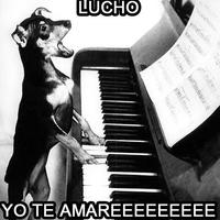 Oye Lucho, El perro del lucho