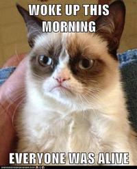 Grumpy Cat
