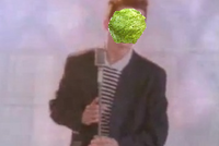 Lettuce / It Says "Never Give Up"
