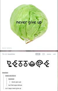 Lettuce / It Says "Never Give Up"