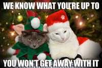 LOLcats