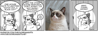 Grumpy Cat