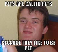 [10] Guy