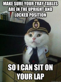 Captain Kitteh