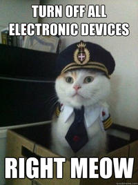 Captain Kitteh