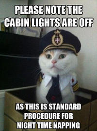 Captain Kitteh
