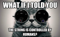 Matrix Morpheus