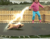 062.gif