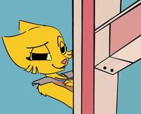 That F***ing Cat