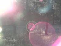Need Moar Lens Flare
