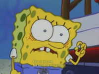 Reaction Faces