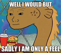 I Know That Feel Bro