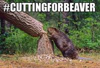 #CuttingForBieber