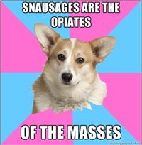 Critical Feminist Corgi