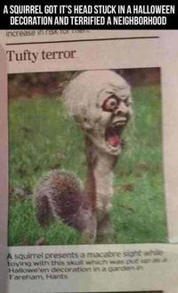 Dafuq