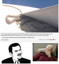 Facepalm