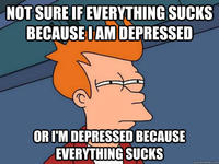 Futurama Fry / Not Sure If X