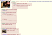 4chan