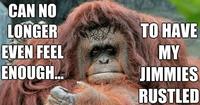That Really Rustled My Jimmies