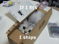 If It Fits I Sits