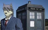 Furries