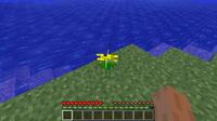 e0d.png
