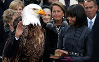 2012 United States Presidential Election