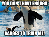 YOU DON'T HAVE ENOUGH BADGES TO TRAIN ME!