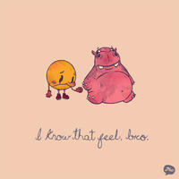 I Know That Feel Bro