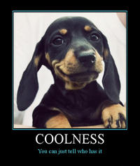 Demotivational Posters