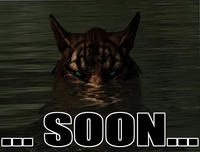SOON