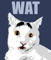 Eyebrow Cat
