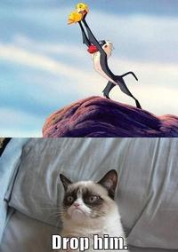Grumpy Cat