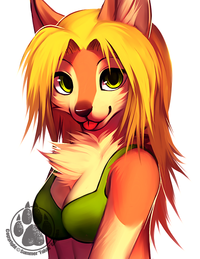 Furries