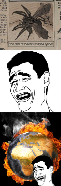 Dafuq
