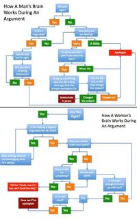 Women Logic
