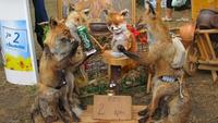 Stoned Fox (Упоротая лиса)
