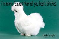 Peyton's Fluffy Chicken