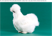 Peyton's Fluffy Chicken