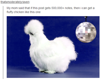 Peyton's Fluffy Chicken