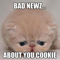 LOLcats