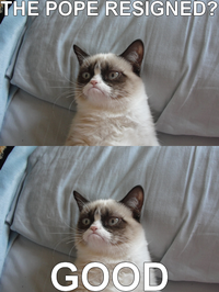 Grumpy Cat