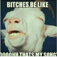 Bitches Be Like