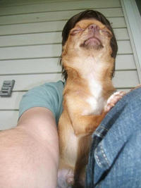 Perfectly Timed Photos