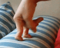 Fap